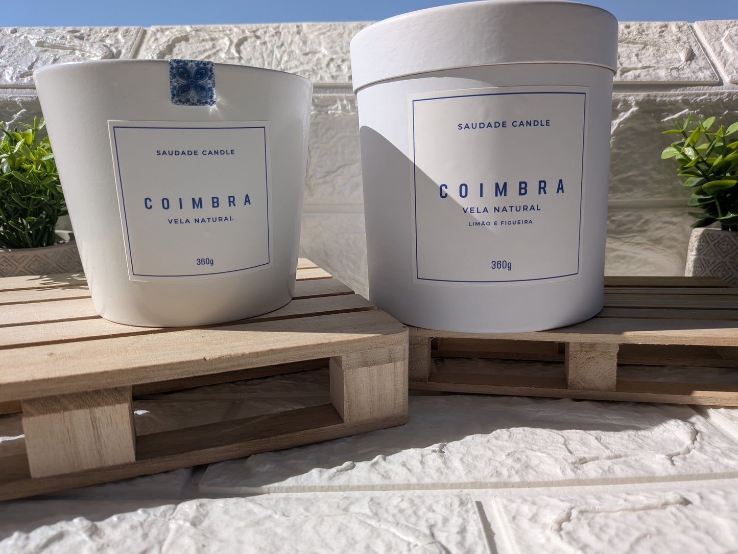 Coimbra Candle – Lemon &amp; Fig Scent